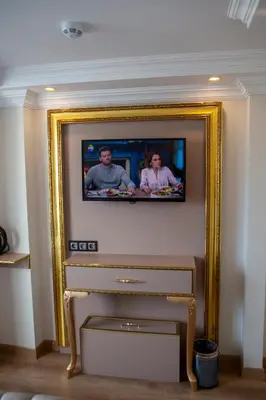 a television in a gold frame on a wall at Blue Zerzevan Konak Hotel in Istanbul